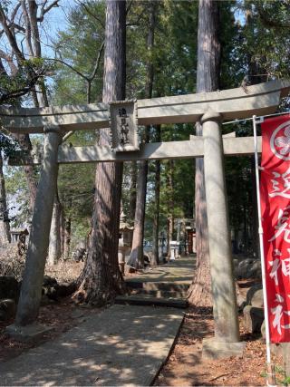 逸見神社の参拝記録(⛩️🐍🐢まめ🐢🐍⛩️さん)