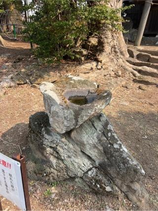 諏訪神社（岩窪諏訪神社）の参拝記録(⛩️🐍🐢まめ🐢🐍⛩️さん)