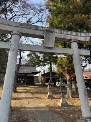 諏訪神社の参拝記録(⛩️🎠🐢まめ🐢🎠⛩️さん)