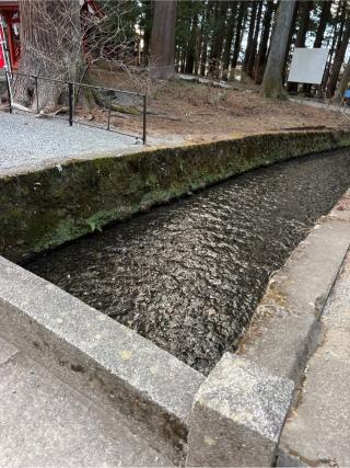 北口本宮冨士浅間神社の参拝記録(⛩️🐍🐢まめ🐢🐍⛩️さん)