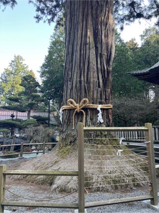北口本宮冨士浅間神社の参拝記録(⛩️🐍🐢まめ🐢🐍⛩️さん)