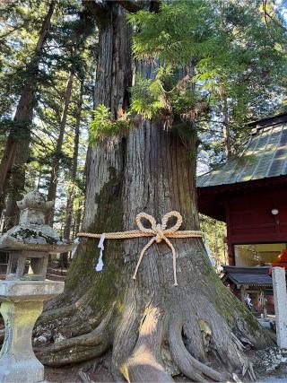 北口本宮冨士浅間神社の参拝記録(ヒデさん)