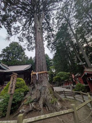 北口本宮冨士浅間神社の参拝記録(BakaUminekoさん)
