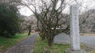 金剛院　華厳寺(梅沢不動尊)(華蔵寺)の参拝記録(のりさん)