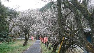 金剛院　華厳寺(梅沢不動尊)(華蔵寺)の参拝記録(のりさん)