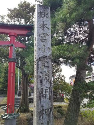 北東本宮小室浅間神社の参拝記録(銀玉鉄砲さん)