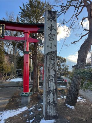 北東本宮小室浅間神社の参拝記録(⛩️🐍🐢まめ🐢🐍⛩️さん)