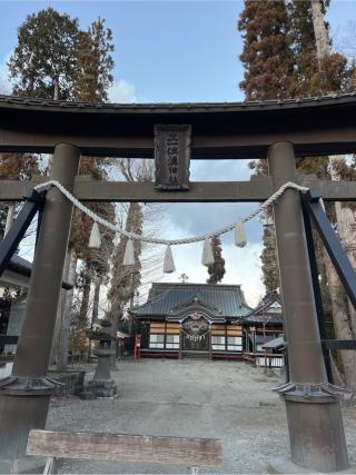 漣神社の参拝記録(⛩️🐍🐢まめ🐢🐍⛩️さん)