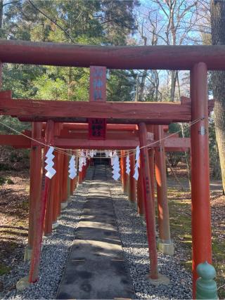新屋山神社の参拝記録(⛩️🐍🐢まめ🐢🐍⛩️さん)