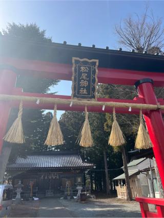 松尾神社の参拝記録(⛩️🐍🐢まめ🐢🐍⛩️さん)