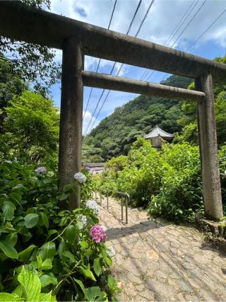 太平山 連祥院の参拝記録(こうさん)