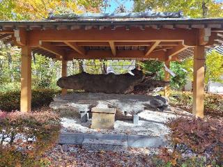 山中諏訪神社の参拝記録(優雅さん)