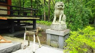 山中浅間神社の参拝記録(優雅さん)