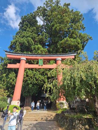 浅間神社（河口浅間神社）の参拝記録(まーさんさん)