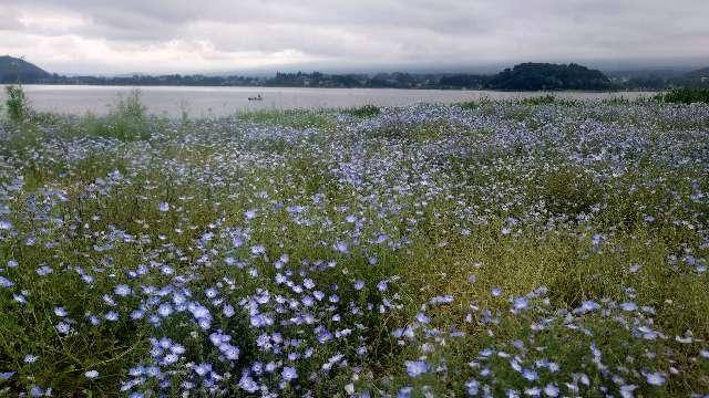 うの嶋神社の参拝記録3
