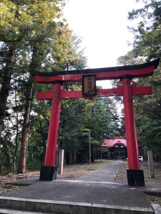 諏訪神社の参拝記録(ぱにゃにゃんさん)