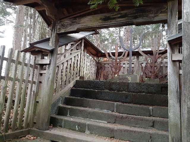 魔王天神社の参拝記録(三毛猫さん)