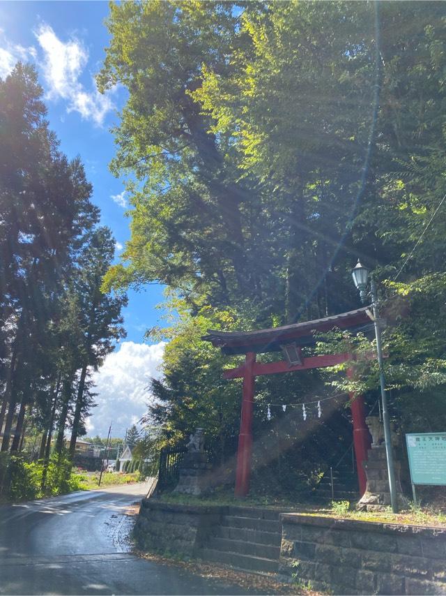 魔王天神社の参拝記録(🧒ゆきさん)