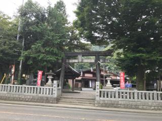 三嶋神社の参拝記録(フェスばばあさん)