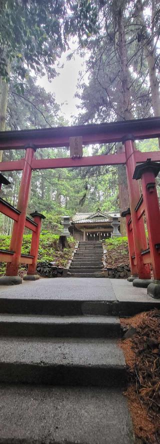 犬嶋神社の参拝記録(隼RIDEさん)
