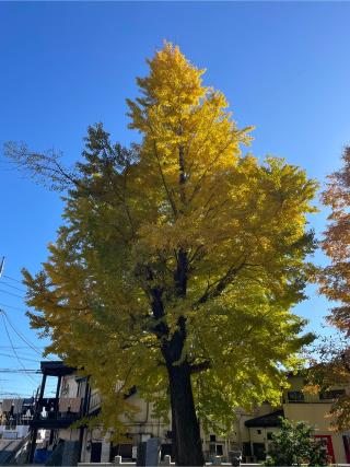 牛倉神社の参拝記録(なっちゃんさん)
