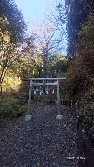 軍刀利神社の参拝記録(あにぃさん)