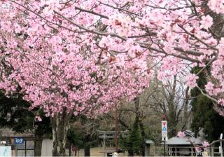 諏訪神社の参拝記録(ひでひでさん)