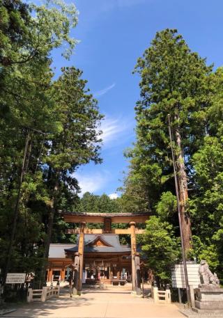 穂高神社の参拝記録(竜胆の花さん)