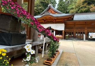 穂高神社の参拝記録(竜胆の花さん)