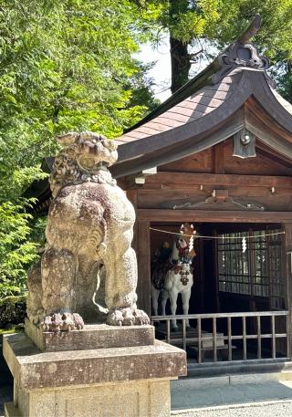 穂高神社の参拝記録(竜胆の花さん)