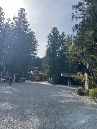穂高神社の参拝記録(⛩️🐍🐢まめ🐢🐍⛩️さん)