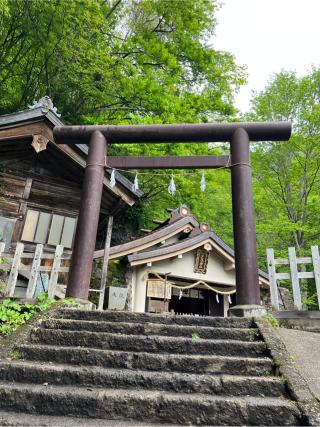 戸隠神社奥社の参拝記録(⛩️🐍🐢まめ🐢🐍⛩️さん)