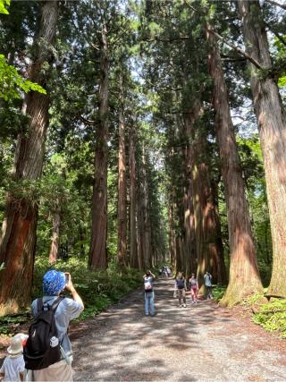 戸隠神社九頭龍社の参拝記録(ヒデさん)
