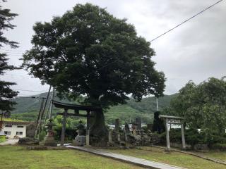 速素戔鳴神社の参拝記録(ひでひでさん)