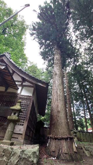 床尾神社の参拝記録(猫狂さん)