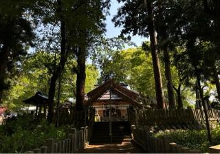 飯笠山神社の参拝記録(竜胆の花さん)
