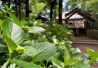飯笠山神社の参拝記録(竜胆の花さん)