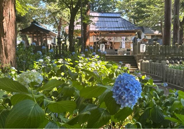 飯笠山神社の参拝記録4