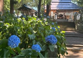 飯笠山神社の参拝記録(竜胆の花さん)