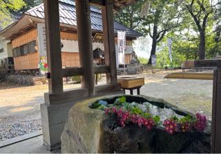 飯笠山神社の参拝記録(竜胆の花さん)