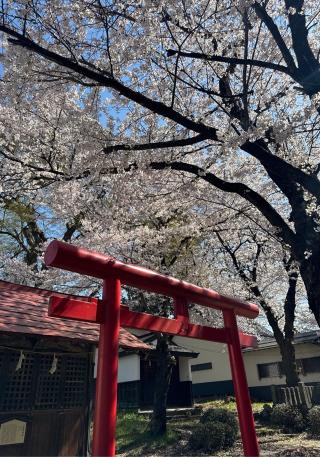 飯笠山神社の参拝記録(竜胆の花さん)