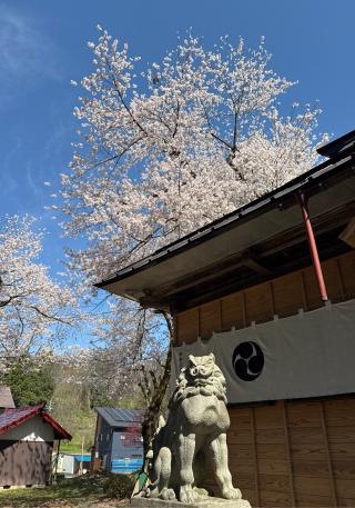 飯笠山神社の参拝記録(竜胆の花さん)
