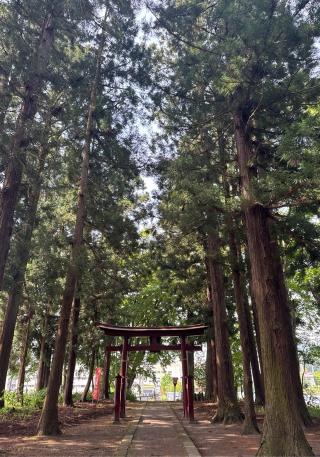 飯笠山神社の参拝記録(竜胆の花さん)