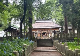 飯笠山神社の参拝記録(竜胆の花さん)