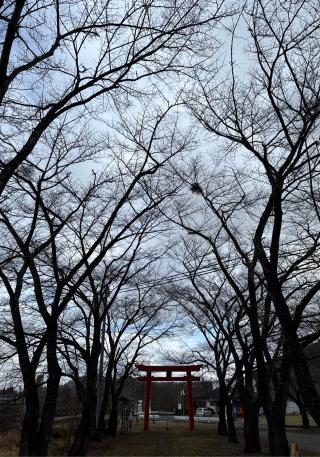 子檀嶺神社の参拝記録(竜胆の花さん)