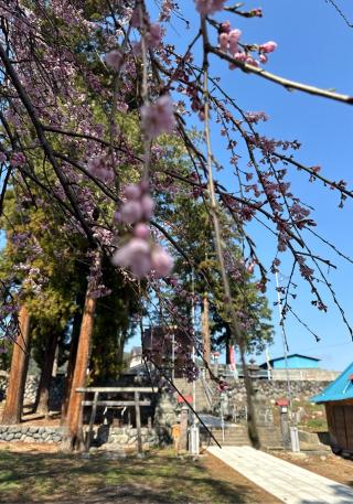 子檀嶺神社の参拝記録(竜胆の花さん)
