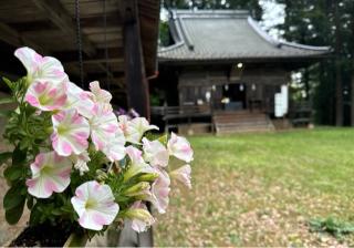 子檀嶺神社の参拝記録(竜胆の花さん)