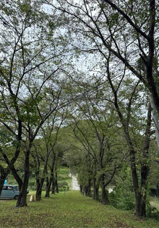 子檀嶺神社の参拝記録(竜胆の花さん)
