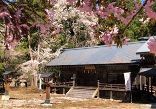 仁科神社の参拝記録(竜胆の花さん)