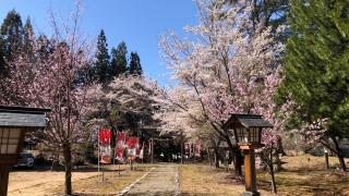 仁科神社の参拝記録(竜胆の花さん)